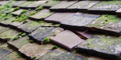 Richings Park roof repair costs